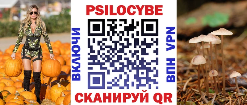Псилоцибиновые грибы Magic Shrooms  купить наркотики цена  Новошахтинск 