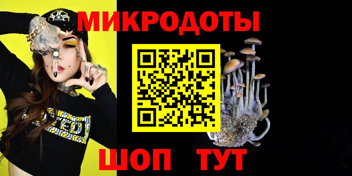 Галлюциногенные грибы MAGIC MUSHROOMS  Вход с VPN  Новошахтинск 