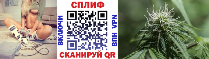 Бошки марихуана тримм  KRAKEN рабочий сайт  Новошахтинск 