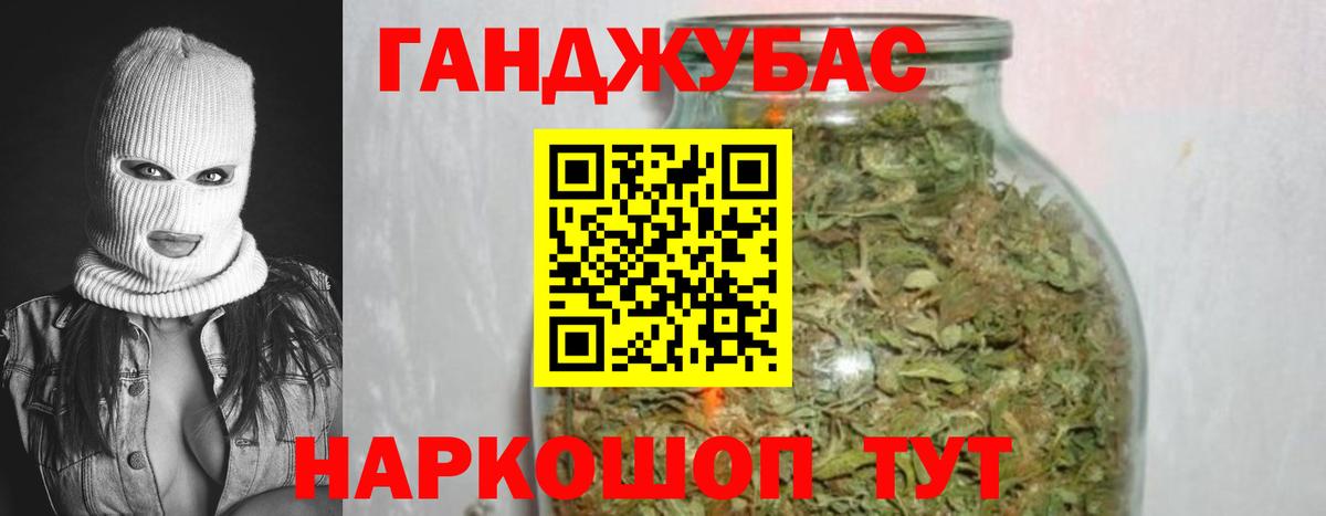 Конопля гибрид Новошахтинск